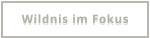 Wildnis im Fokus